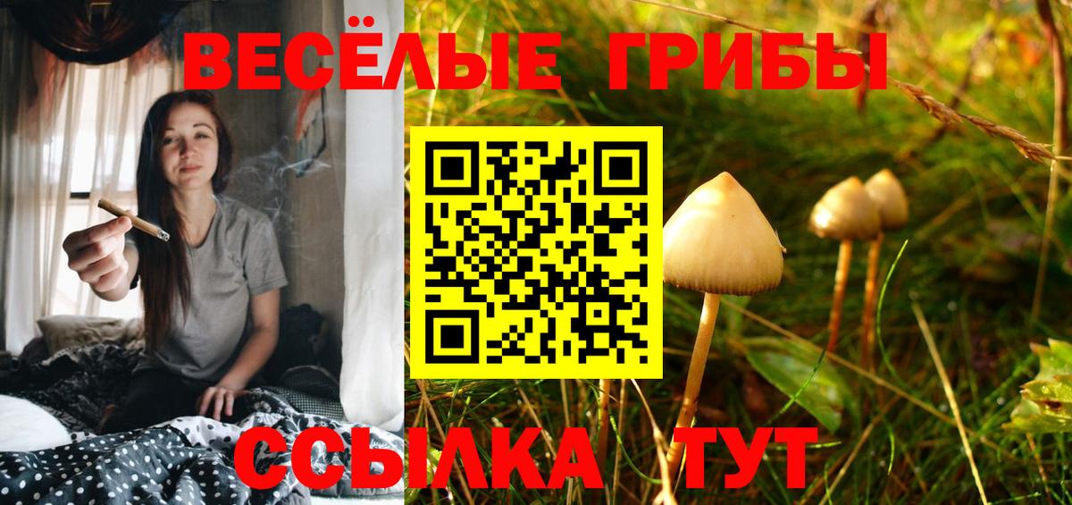 Галлюциногенные грибы MAGIC MUSHROOMS  Вход с VPN  Краснокаменск  Псилоцибиновые грибы Psilocybe 